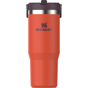 Flip Straw Tumbler