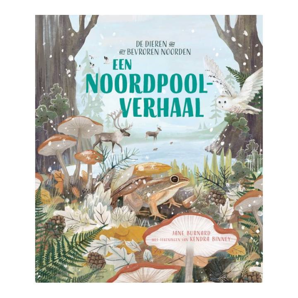 Een Noordpoolverhaal